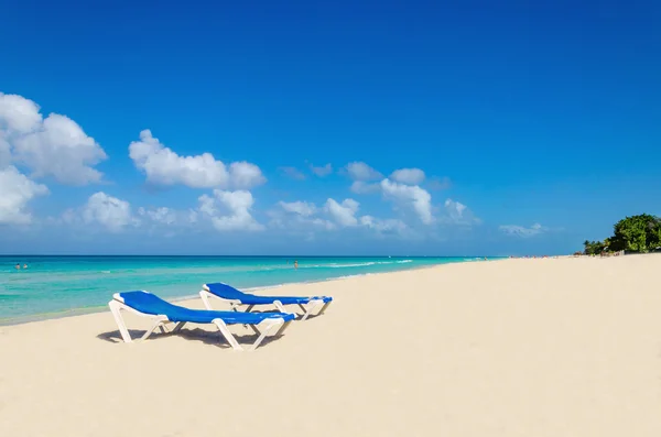 Camas de sol azuis na praia arenosa do Caribe — Fotografia de Stock