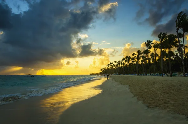 Puesta de sol sobre el mar con vistas a las palmeras —  Fotos de Stock