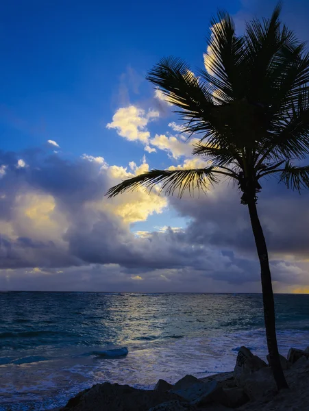 Prachtige zonsondergang boven de zee — Stockfoto