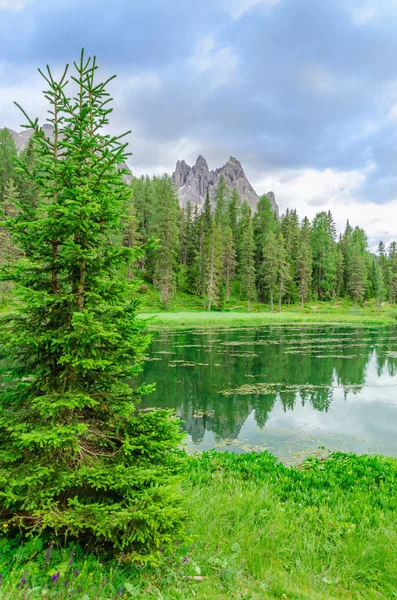 Antorno jezero, provincii belluno — Stock fotografie