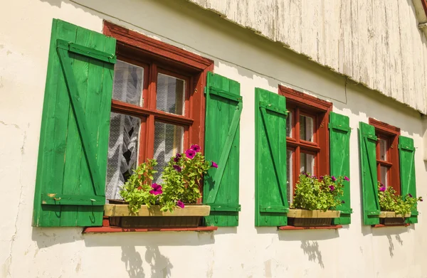 Janelas castanhas com persianas verdes — Fotografia de Stock