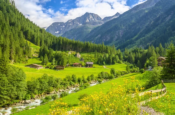 Schöne alpine Landschaft — Stockfoto