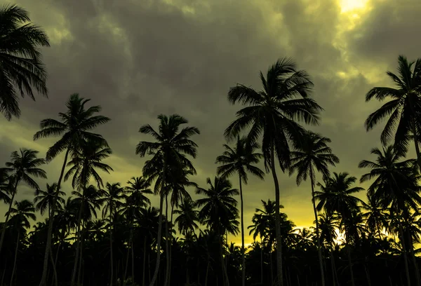 Coucher de soleil sur une plage des Caraïbes — Photo