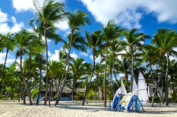 Surfplanken op Caribisch strand — Stockfoto