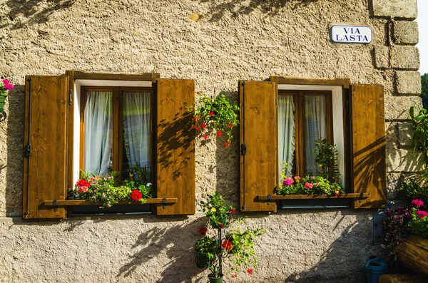 Windows met potten met bloemen — Stockfoto