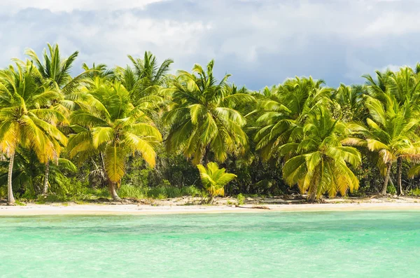 Palmiye ağaçları çarpıcı lagün üzerinde — Stok fotoğraf