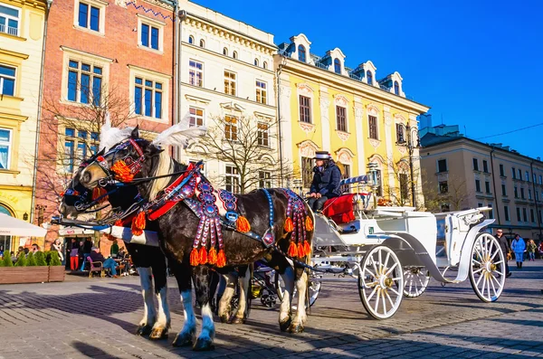 Horse-drawn carriage in Krakow — Stock Photo, Image