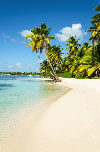 Vista incrível da praia do Caribe — Fotografia de Stock