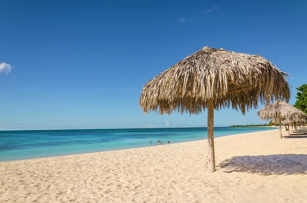 Palmenschirm, Sand und blauer Himmel — Stockfoto