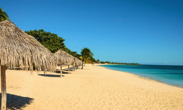 Praia com areia dourada e céu azul — Fotografia de Stock