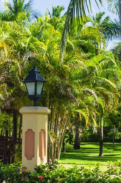 Beautiful garden in a Caribbean hotel — Stock Photo, Image