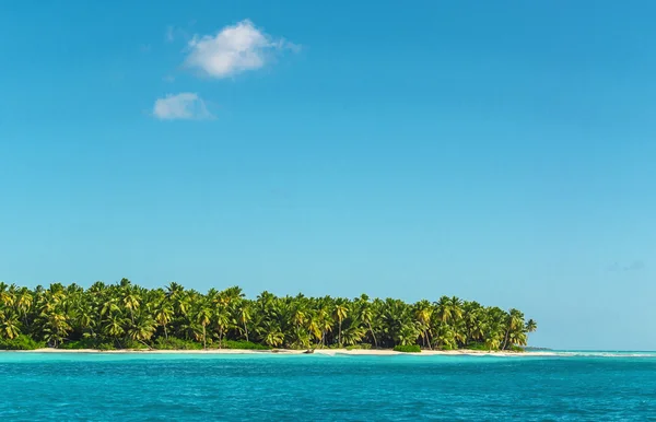 Palmeras sobre laguna impresionante — Foto de Stock