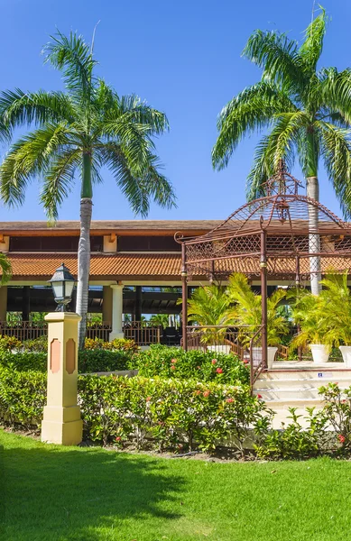 Beau jardin dans un hôtel caribéen — Photo