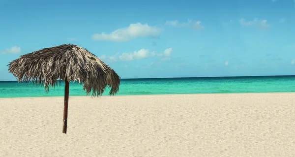 Tropikalnej plaży Palma drzewa parasol — Zdjęcie stockowe