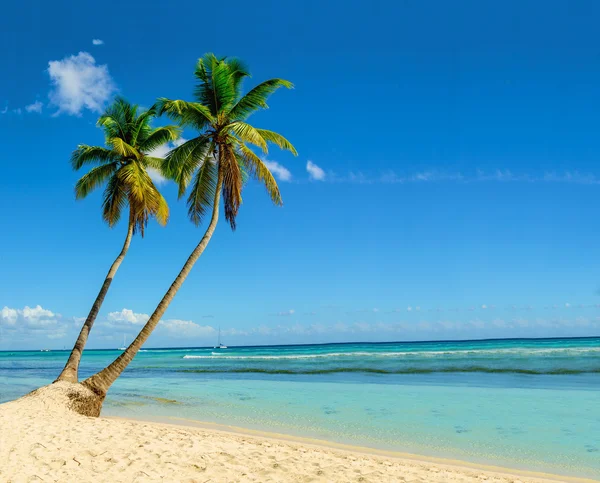 Удивительный вид на Карибский пляж — стоковое фото