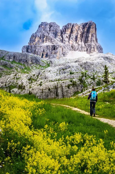 Turista con uno zaino trekking in montagna — Foto Stock