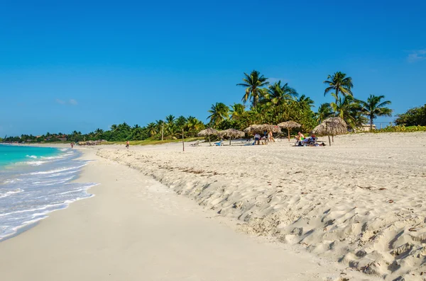 Удивительный песчаный пляж с пальмами — стоковое фото