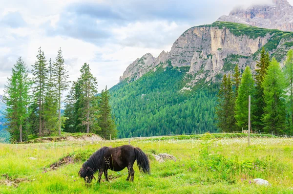 Vackert bergslandskap — Stockfoto