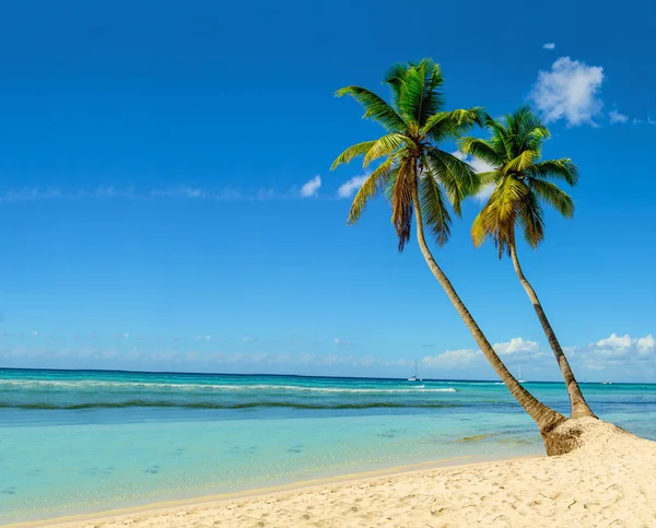 Vue imprenable sur la plage des Caraïbes — Photo