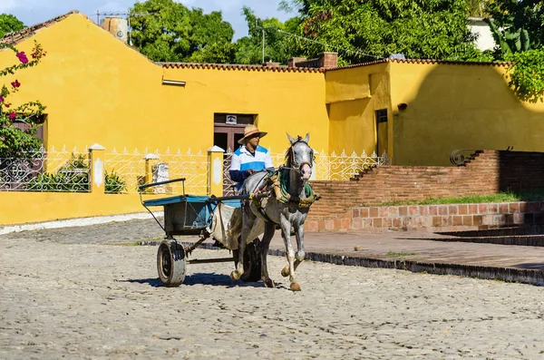 Typical Cuban worker on horse carriage — Stock Photo, Image