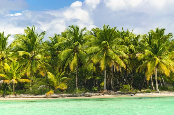 Palm trees over stunning lagoon — Stock Photo, Image