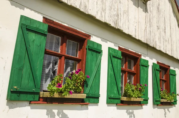 Fenêtres brunes avec volets verts — Photo