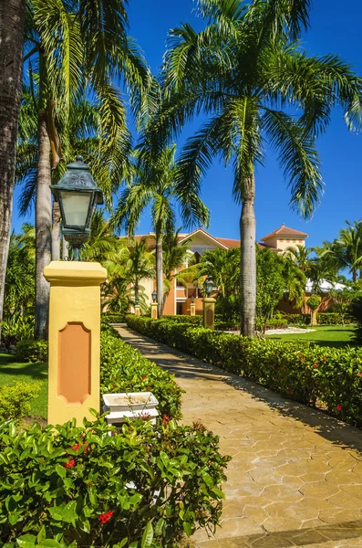 Caribische resort met palmbomen — Stockfoto