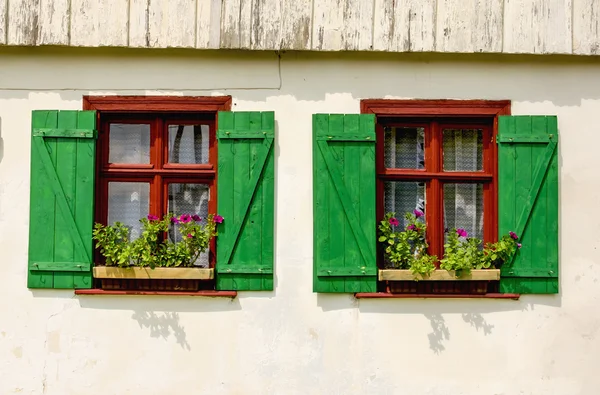 Janelas castanhas com persianas verdes — Fotografia de Stock