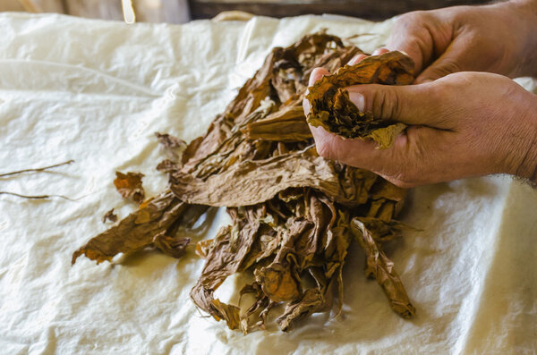 Традиционное производство сигар
