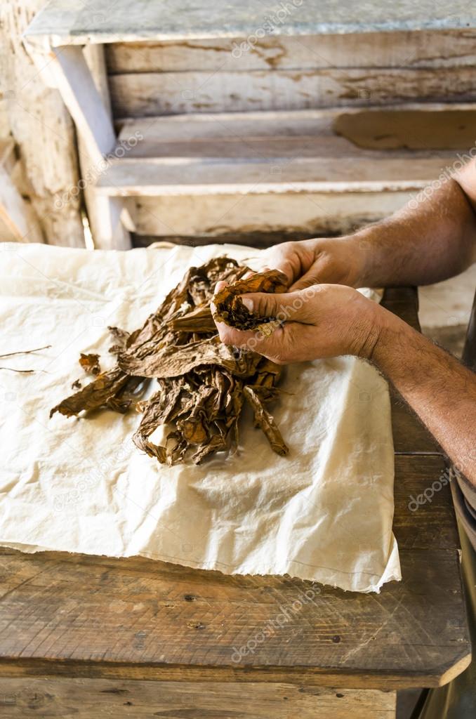 Traditional manufacture of cigars