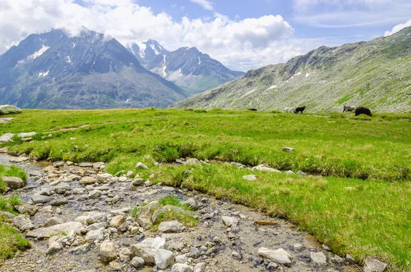 Красивый альпийский пейзаж с рекой, Австрия — стоковое фото