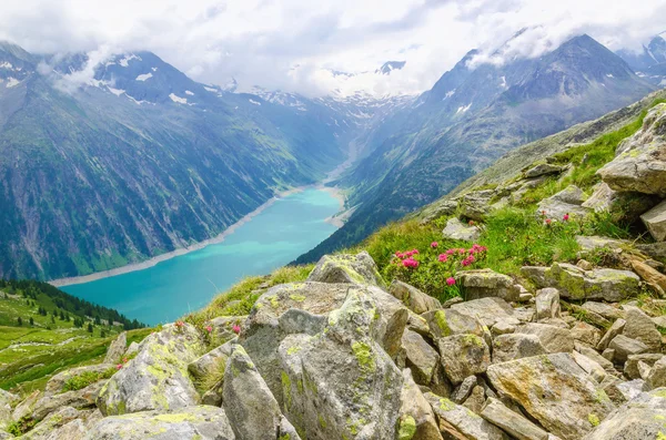 Piękny krajobraz alpejski z kwiatami, Austria — Zdjęcie stockowe