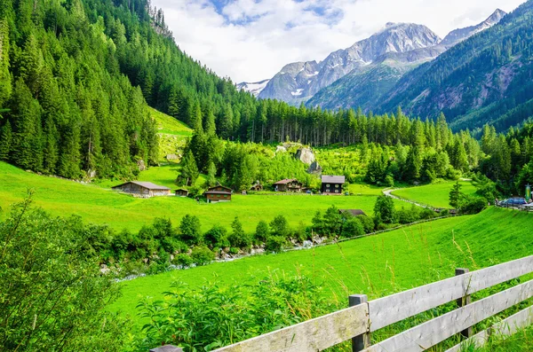 高山景观与奥地利阿尔卑斯山，绿草地 — 图库照片