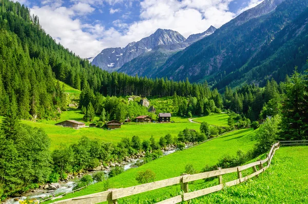 Prados verdes, casas alpinas e picos de montanha — Fotografia de Stock