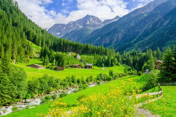 Prados verdes, casas de campo alpinas em Alpes, Áustria — Fotografia de Stock