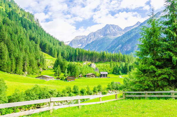 Альпийский ландшафт и зеленые луга Альпы, Австрия
