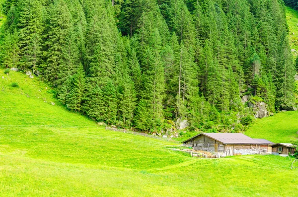 Красивий альпійський пейзаж з гірською хатинкою — стокове фото