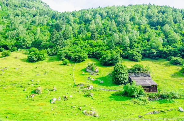 Green alpine meadows, Zillertal, Austria — Stock Photo, Image