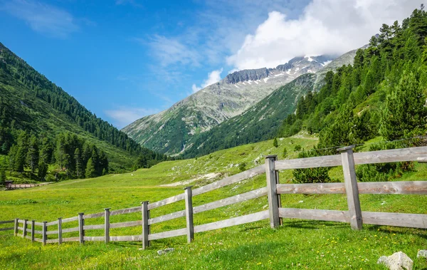 Drewniane ogrodzenia dla owiec Alpy Zillertalskie, Austria — Zdjęcie stockowe