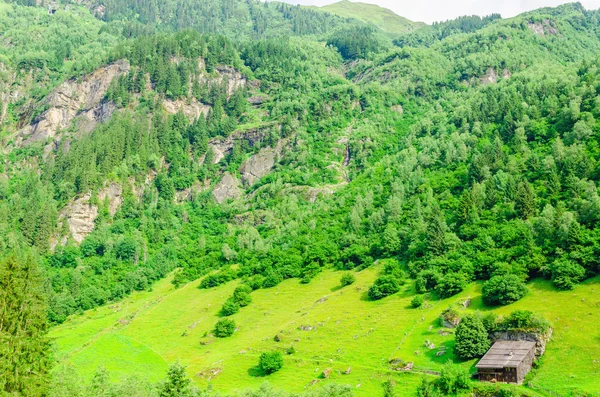 Prati verdi alpini, Zillertal, Austria — Foto Stock