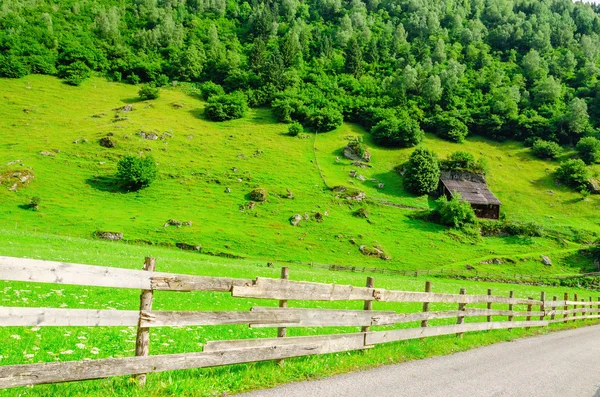 Estrada rural e prados alpinos verdes, Áustria — Fotografia de Stock