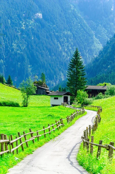 Estrada rural e prados alpinos verdes, Áustria — Fotografia de Stock