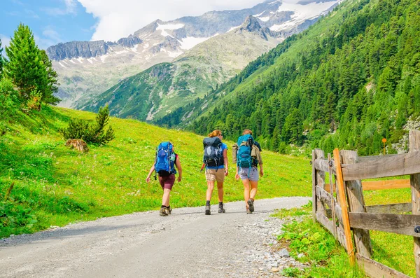 Jovens alpinistas em Alpes, Áustria — Fotografia de Stock