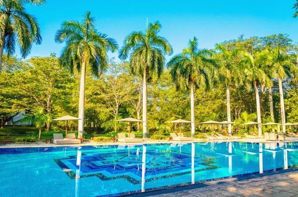 Sonnenliegen und hohe Palmen am Pool — Stockfoto