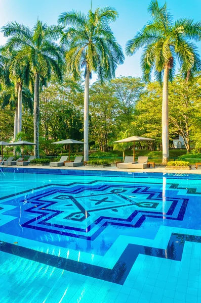 Liegestühle und hohe Palmen am Schwimmbad — Stockfoto