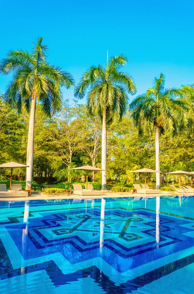 Tumbonas y altas palmeras en la piscina —  Fotos de Stock