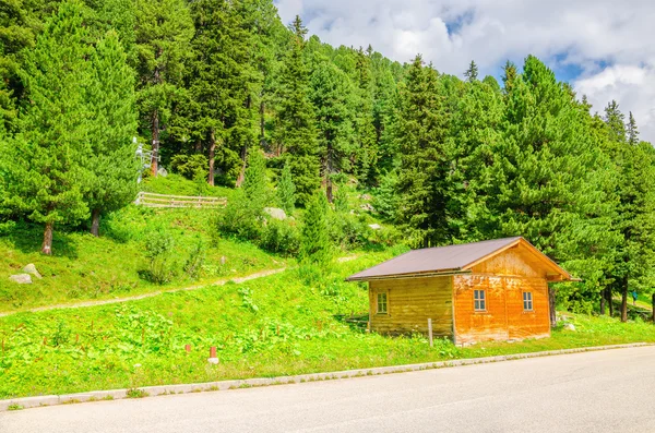 Trästuga och gröna tallar, Österrike, Alperna — Stockfoto