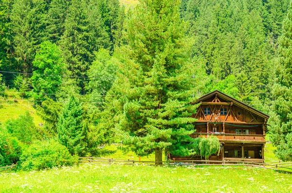 与绿色松树，奥地利，阿尔卑斯山的小木屋 — 图库照片