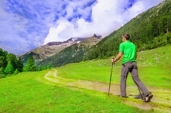 Mountaineer em uma camiseta verde com postes, Áustria — Fotografia de Stock