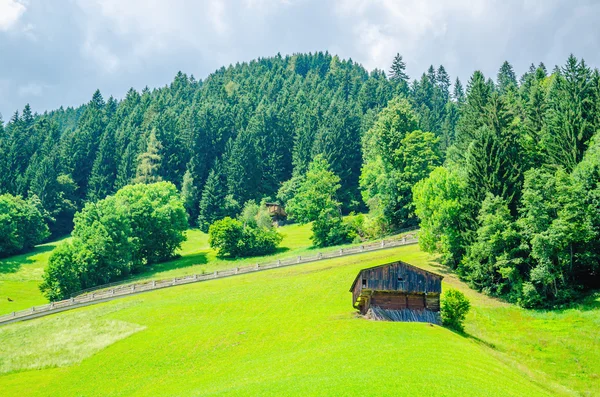 Green meadows and high peaks of mountains, Austria — Stock Photo, Image